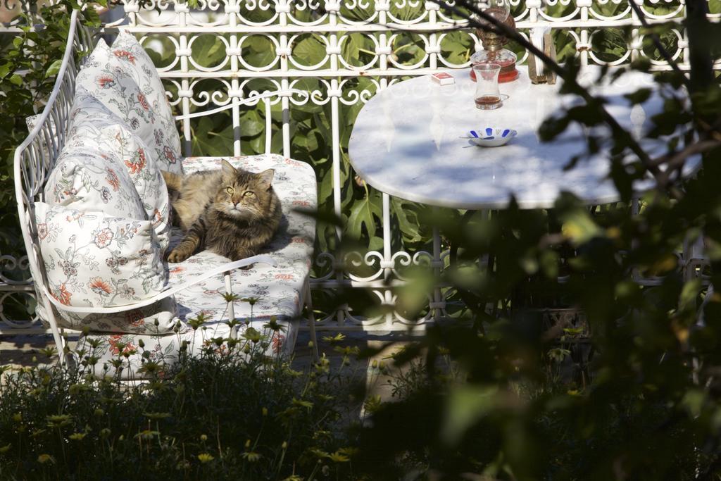Nisanyan Hotel Selçuk Luaran gambar