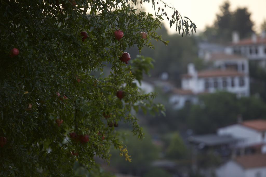 Nisanyan Hotel Selçuk Luaran gambar