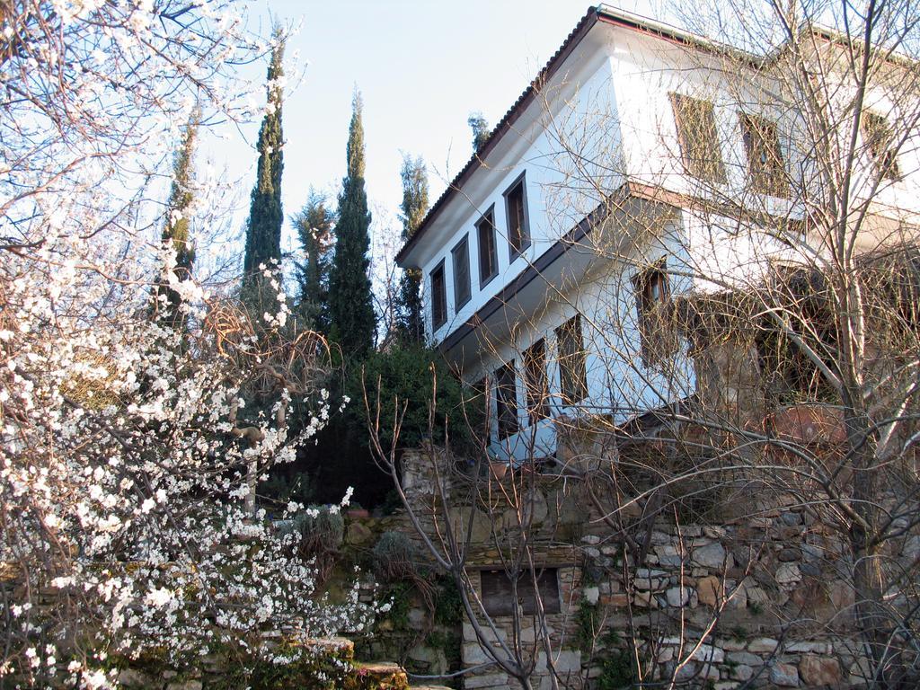 Nisanyan Hotel Selçuk Luaran gambar