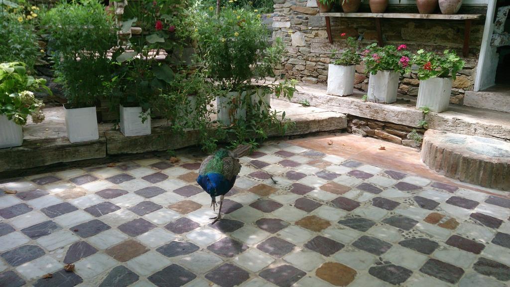 Nisanyan Hotel Selçuk Luaran gambar