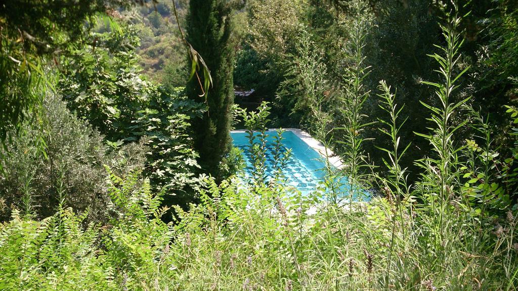 Nisanyan Hotel Selçuk Luaran gambar