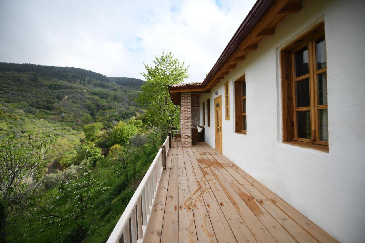 Nisanyan Hotel Selçuk Luaran gambar