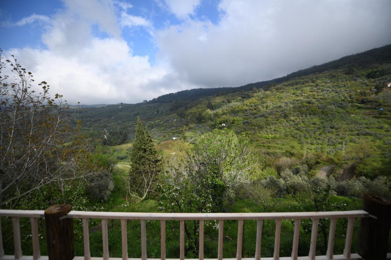 Nisanyan Hotel Selçuk Luaran gambar